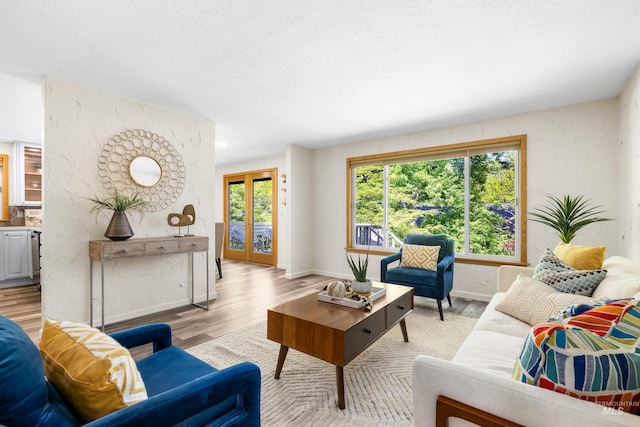 4130 S Ticonderoga Way, Boise, ID 83706 - living area featuring baseboards, light wood finished floors, and french doors