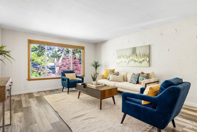 4130 S Ticonderoga Way, Boise, ID 83706 - living room with wood finished floors and baseboards