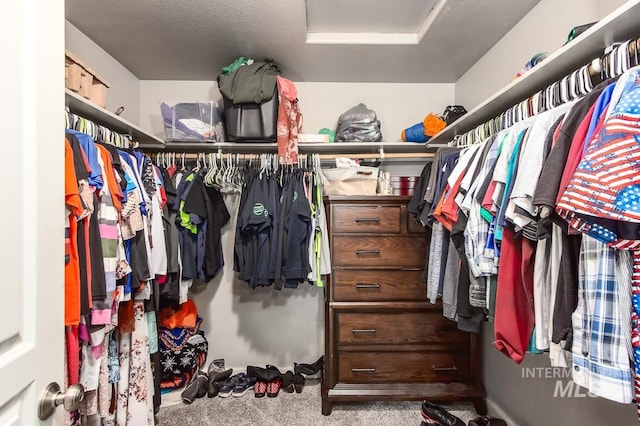 spacious closet featuring carpet flooring