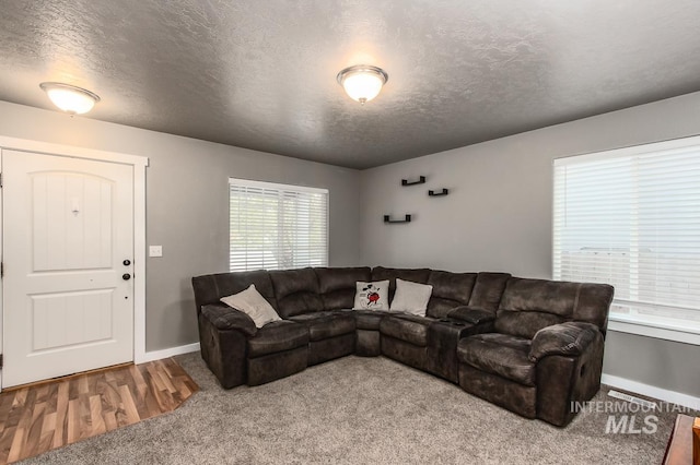 living room with a textured ceiling and hardwood / wood-style flooring