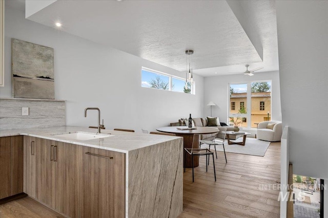 333 E Palapa Ln, Garden City, ID 83714 - kitchen featuring a sink, light wood finished floors, modern cabinets, a peninsula, and open floor plan