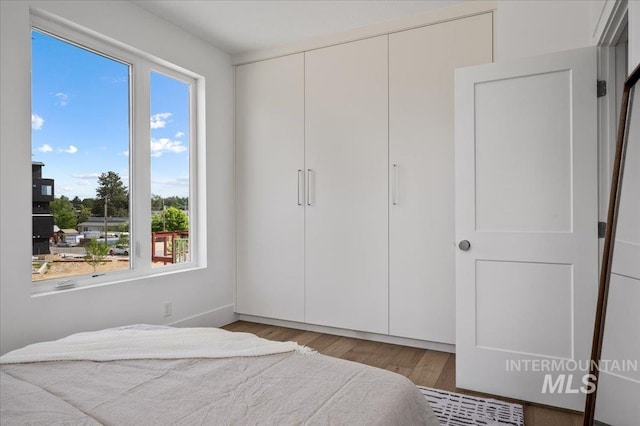 333 E Palapa Ln, Garden City, ID 83714 - bedroom featuring wood finished floors and a closet