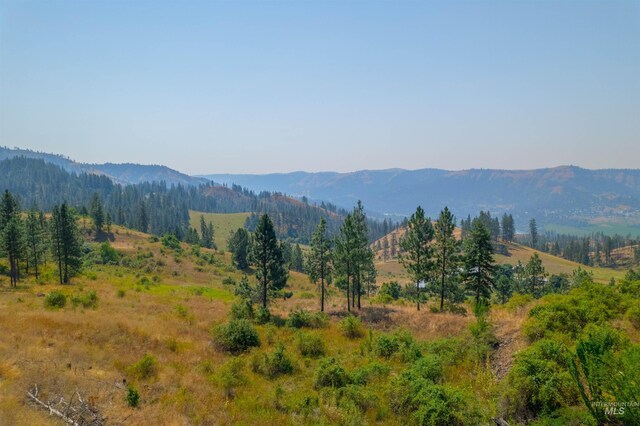 TBDLOT4 Beaverslide Rd, Kamiah, ID 83536