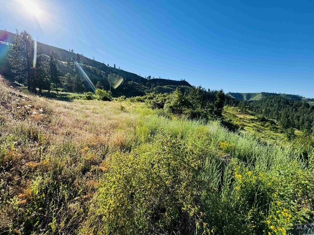 TBDLOT4 Beaverslide Rd, Kamiah, ID 83536