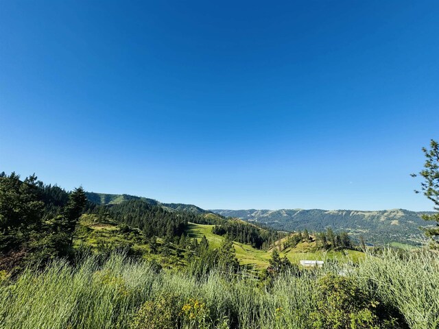 TBDLOT4 Beaverslide Rd, Kamiah, ID 83536