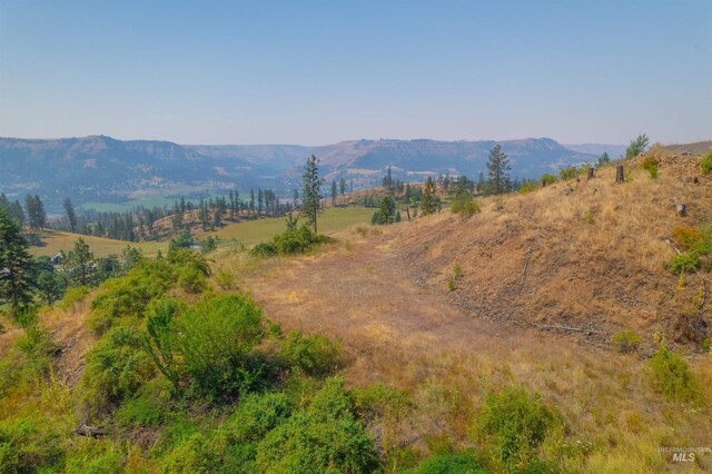TBDLOT4 Beaverslide Rd, Kamiah, ID 83536