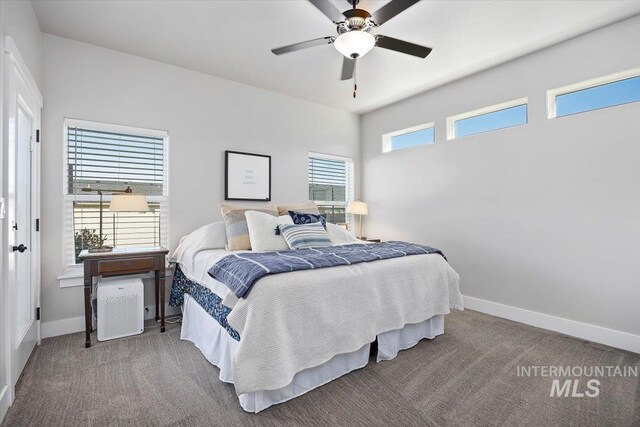 carpeted bedroom with ceiling fan and multiple windows