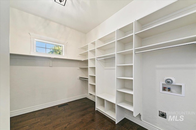 spacious closet with dark hardwood / wood-style floors