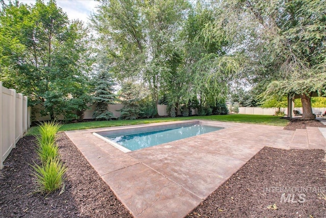 view of swimming pool with a yard and a patio