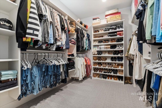 203 S Fusion Ave, Kuna, ID 83634 - spacious closet featuring carpet