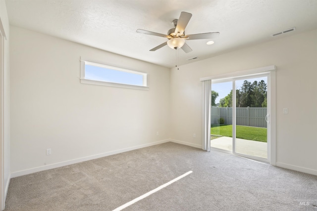10663 W Catmint, Star, ID 83669 - empty room with plenty of natural light, carpet flooring, and baseboards