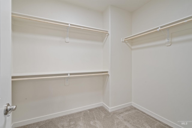 10663 W Catmint, Star, ID 83669 - spacious closet featuring carpet floors