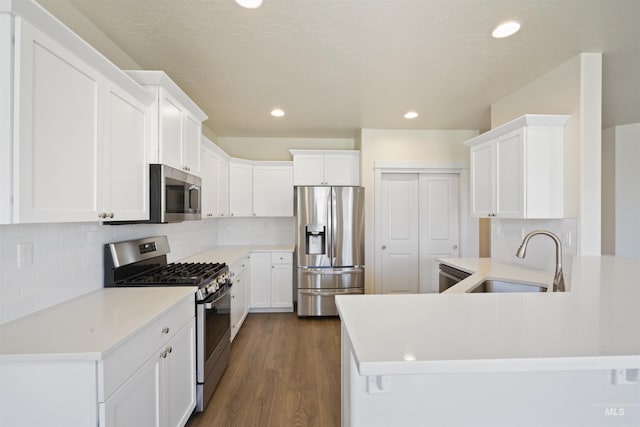 10663 W Catmint, Star, ID 83669 - kitchen with stainless steel appliances, a sink, dark wood-style flooring, a peninsula, and backsplash