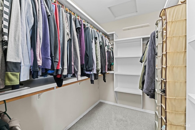 walk in closet featuring attic access and carpet