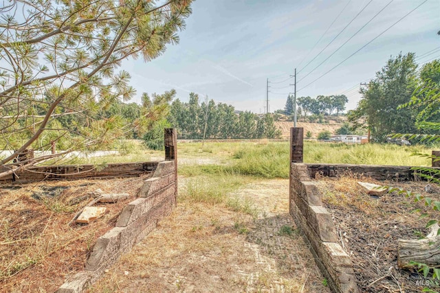 view of yard featuring a rural view