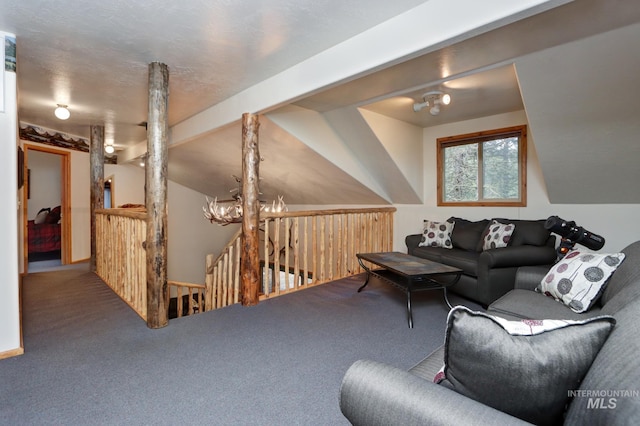 351 Estate Dr, Cascade, ID 83611 - living room with lofted ceiling and carpet floors
