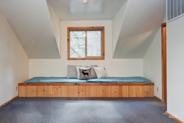 351 Estate Dr, Cascade, ID 83611 - additional living space featuring baseboards and dark colored carpet