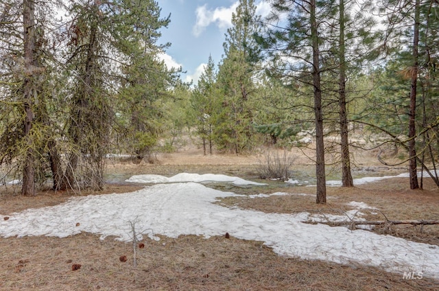 351 Estate Dr, Cascade, ID 83611 - view of yard
