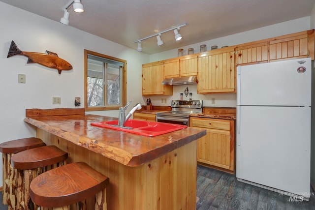 351 Estate Dr, Cascade, ID 83611 - kitchen with freestanding refrigerator, rail lighting, under cabinet range hood, a sink, and stainless steel electric stove