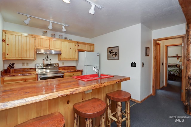 351 Estate Dr, Cascade, ID 83611 - kitchen featuring stainless steel electric range oven, butcher block counters, freestanding refrigerator, rail lighting, and under cabinet range hood