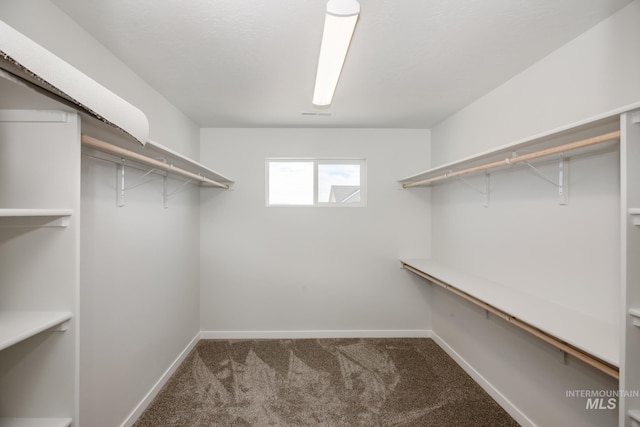 walk in closet with carpet floors and visible vents