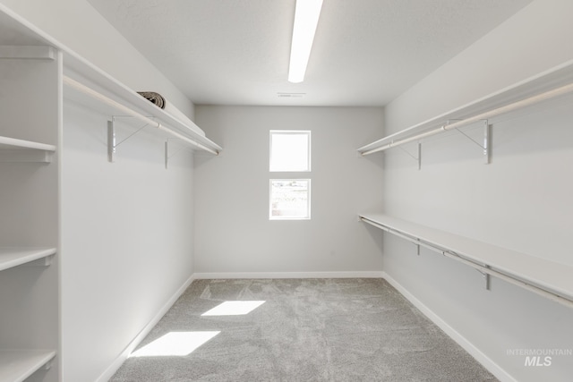 walk in closet with carpet and visible vents