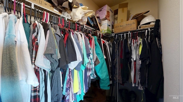 view of spacious closet