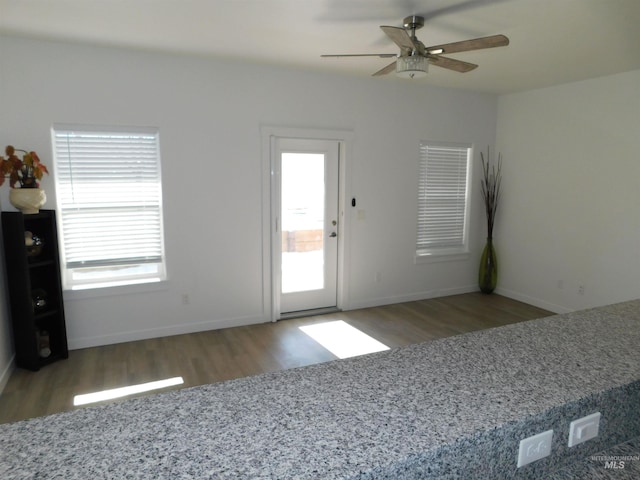 entrance foyer with ceiling fan, wood-type flooring, and a wealth of natural light