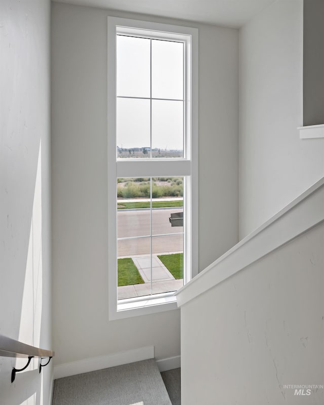 stairway with carpet floors and a healthy amount of sunlight