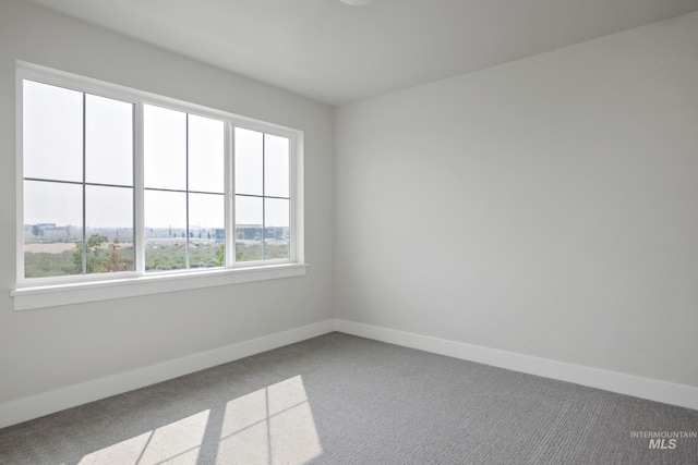 carpeted empty room with a healthy amount of sunlight