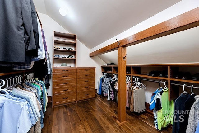 walk in closet featuring dark hardwood / wood-style flooring and vaulted ceiling