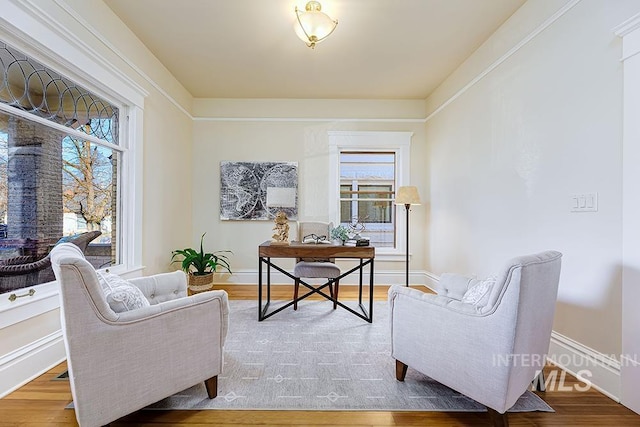 sitting room with wood-type flooring