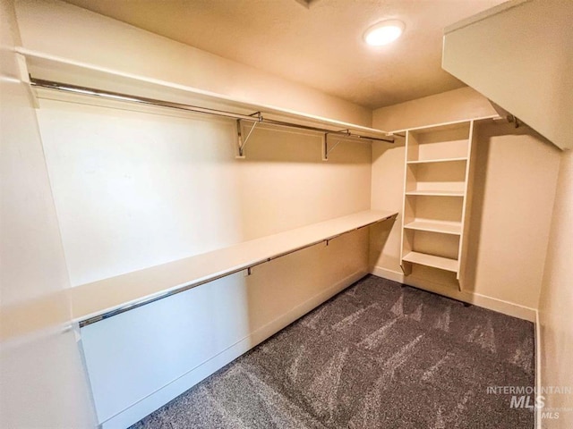 spacious closet featuring dark carpet