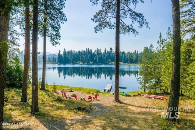 water view with a dock