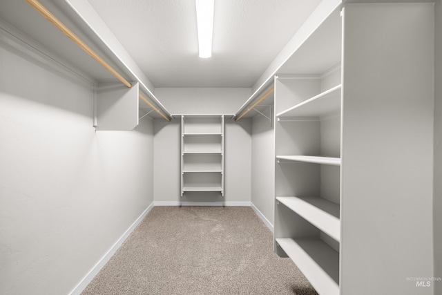 19920 Lenape Ct, Caldwell, ID 83605 - spacious closet featuring carpet flooring