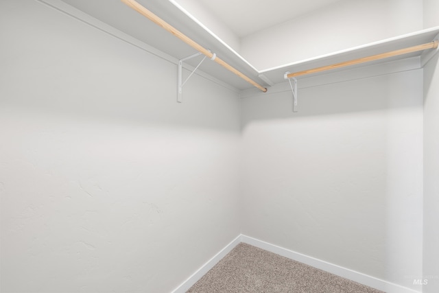 19920 Lenape Ct, Caldwell, ID 83605 - spacious closet with carpet flooring
