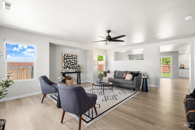 19920 Lenape Ct, Caldwell, ID 83605 - living room with light wood-type flooring, healthy amount of natural light, a ceiling fan, and baseboards