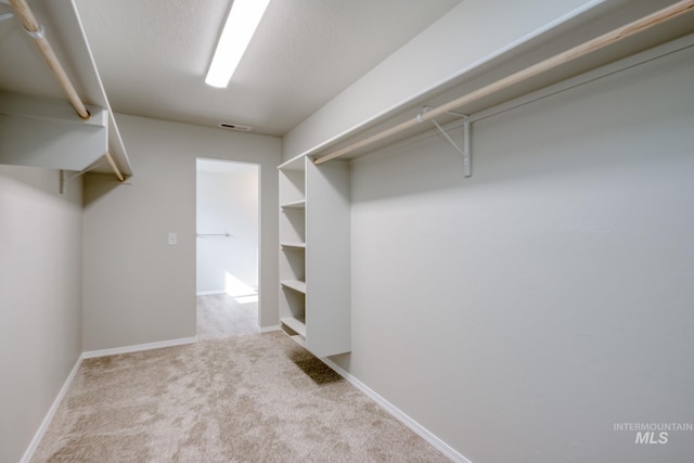 16888 Dunning Way, Caldwell, ID 83607 - spacious closet with carpet floors and visible vents