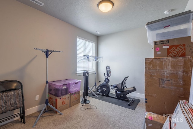 11706 W Lilium St, Star, ID 83669 - workout room featuring carpet and a textured ceiling