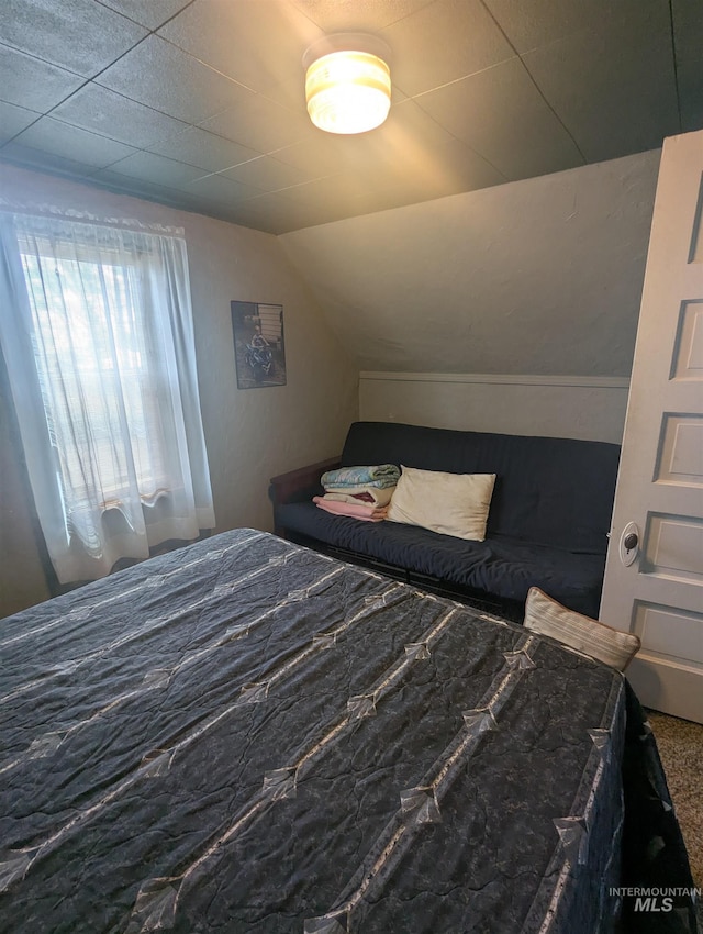231 Willow Ave E, Fairfield, ID 83327 - bedroom with carpet flooring and lofted ceiling