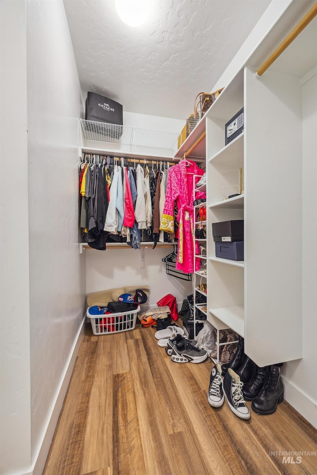 walk in closet featuring wood finished floors