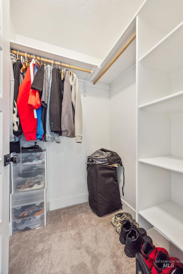 spacious closet with carpet floors