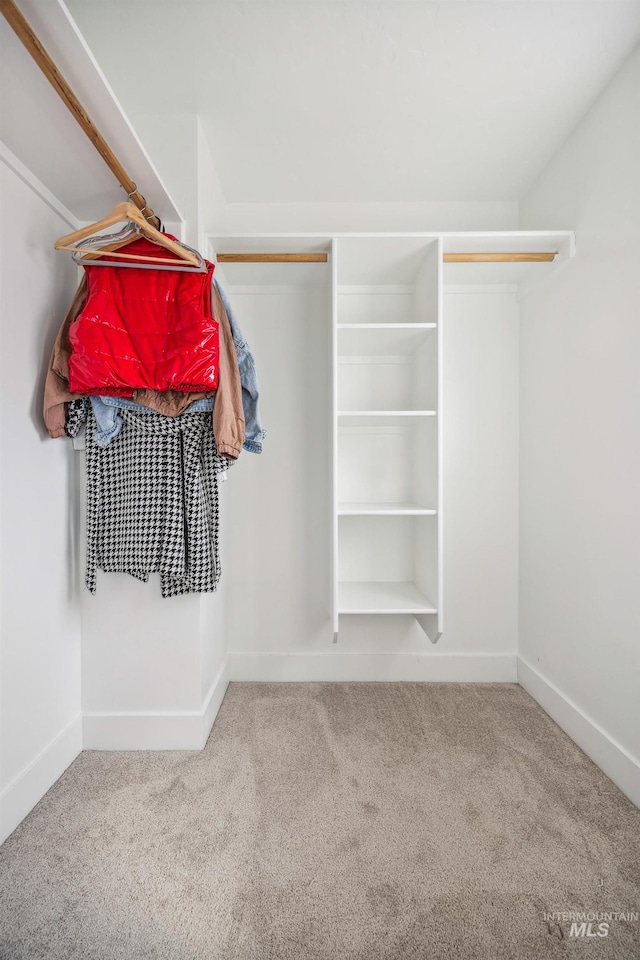 spacious closet featuring carpet