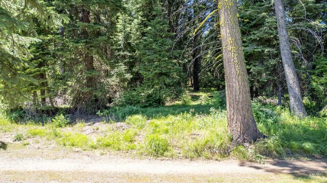 2207 Davy Rd, Donnelly, ID 83615