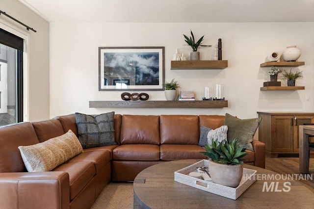 living room featuring light hardwood / wood-style flooring