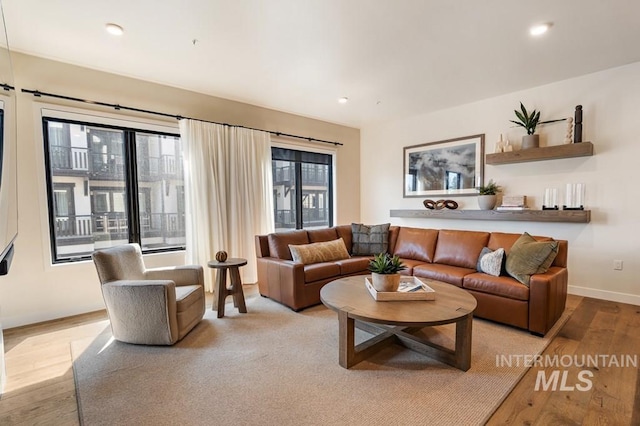 living room featuring light hardwood / wood-style floors