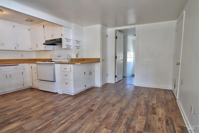 2912 S Harmony Ave, Boise, ID 83706 - kitchen featuring electric range, wood counters, dark wood-style flooring, and under cabinet range hood