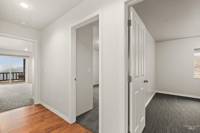 hall featuring plenty of natural light and dark colored carpet