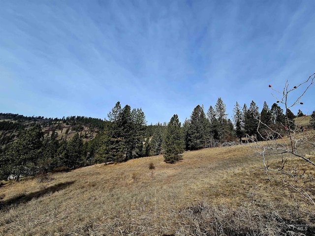 view of local wilderness featuring a rural view