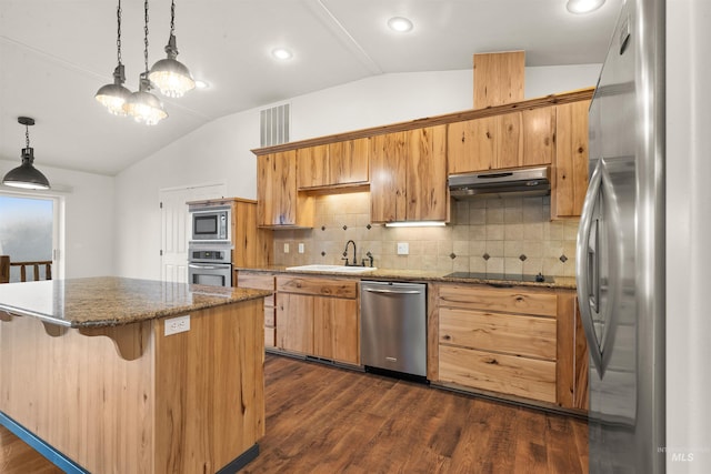 kitchen with sink, dark wood-type flooring, appliances with stainless steel finishes, hanging light fixtures, and vaulted ceiling